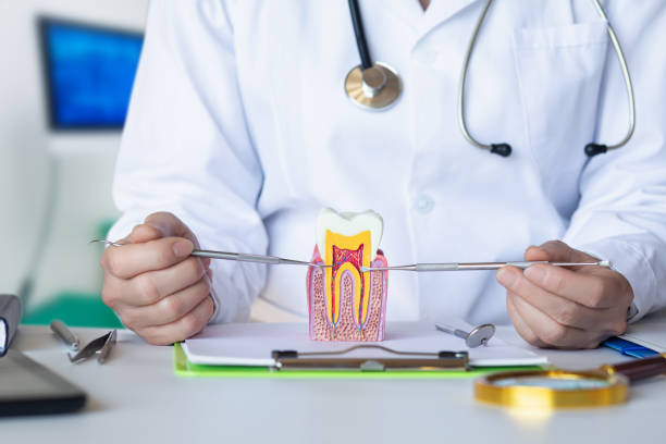 Best Emergency Treatment for Oral Infections in Harlem, FL
